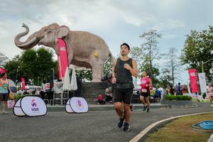 BIB: 
                            <button type="button" onclick="openModal(26528834)" class="btn btn-primary btn-sm float-right btn-popup" data-toggle="modal" data-target=".modal-high-quality">
                        <i class="fas fa-shopping-cart"></i> Add to Cart
                    </button>
                                            <button type="button" onclick="isThisMe(26528834, true)" class="btn btn-success btn-sm float-right btn-popup btn-isme hidden" data-toggle="tooltip" data-placement="bottom" title="นี่คือรูปของคุณใช่ไหม คลิกที่นี่เพื่อเอาเข้าอัลบั้ม">
                        <i class="fas fa-plus"></i> Add to album
                    </button>
                    <button type="button" onclick="isThisMe(26528834, false)" class="btn btn-warning btn-sm float-right btn-popup btn-isnotme hidden">
                        <i class="fas fa-ban"></i> Remove from album
                    </button>